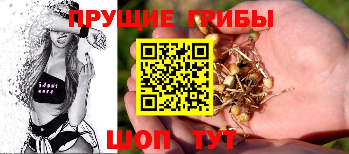 Галлюциногенные грибы Psilocybe  Вход с VPN  Новосибирск 